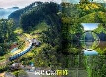 世界杯毒锋3tF-世界杯毒锋3tF，足球赛场上的速度与激情